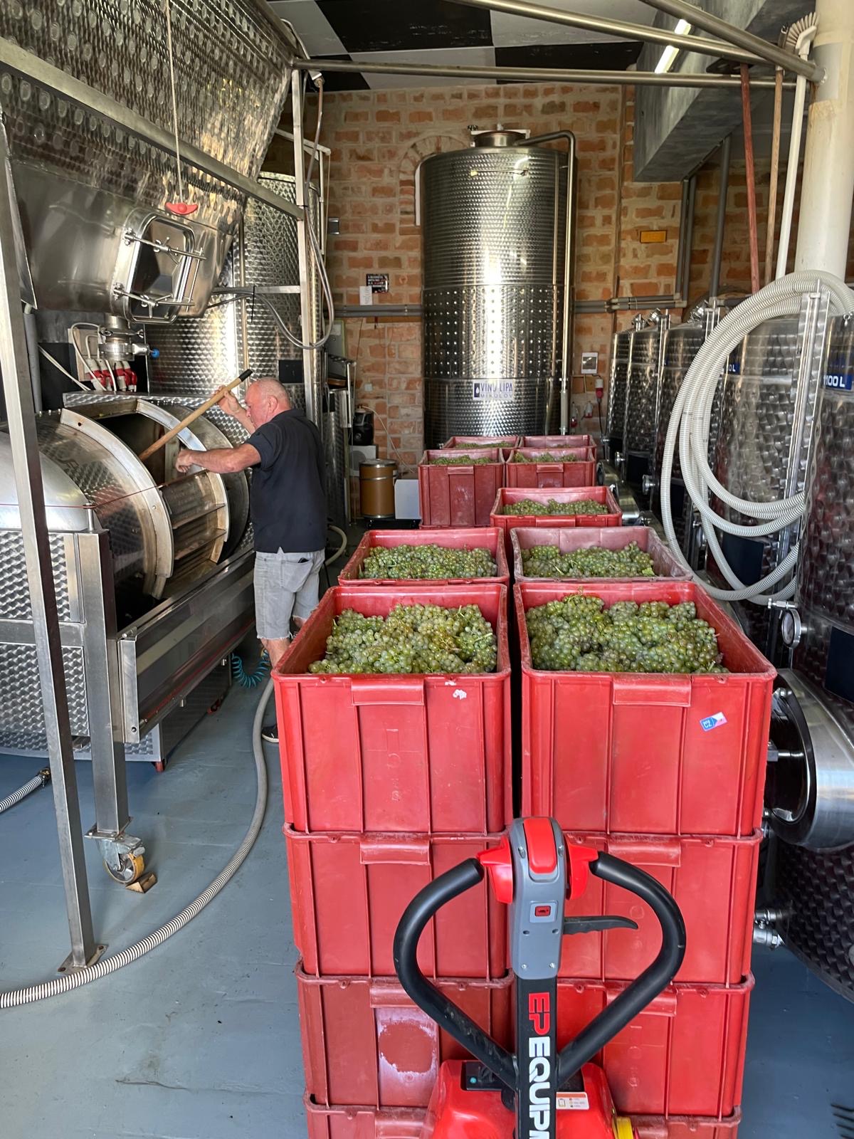 514cf8f2-777b-496e-9838-cdc800b0fc05