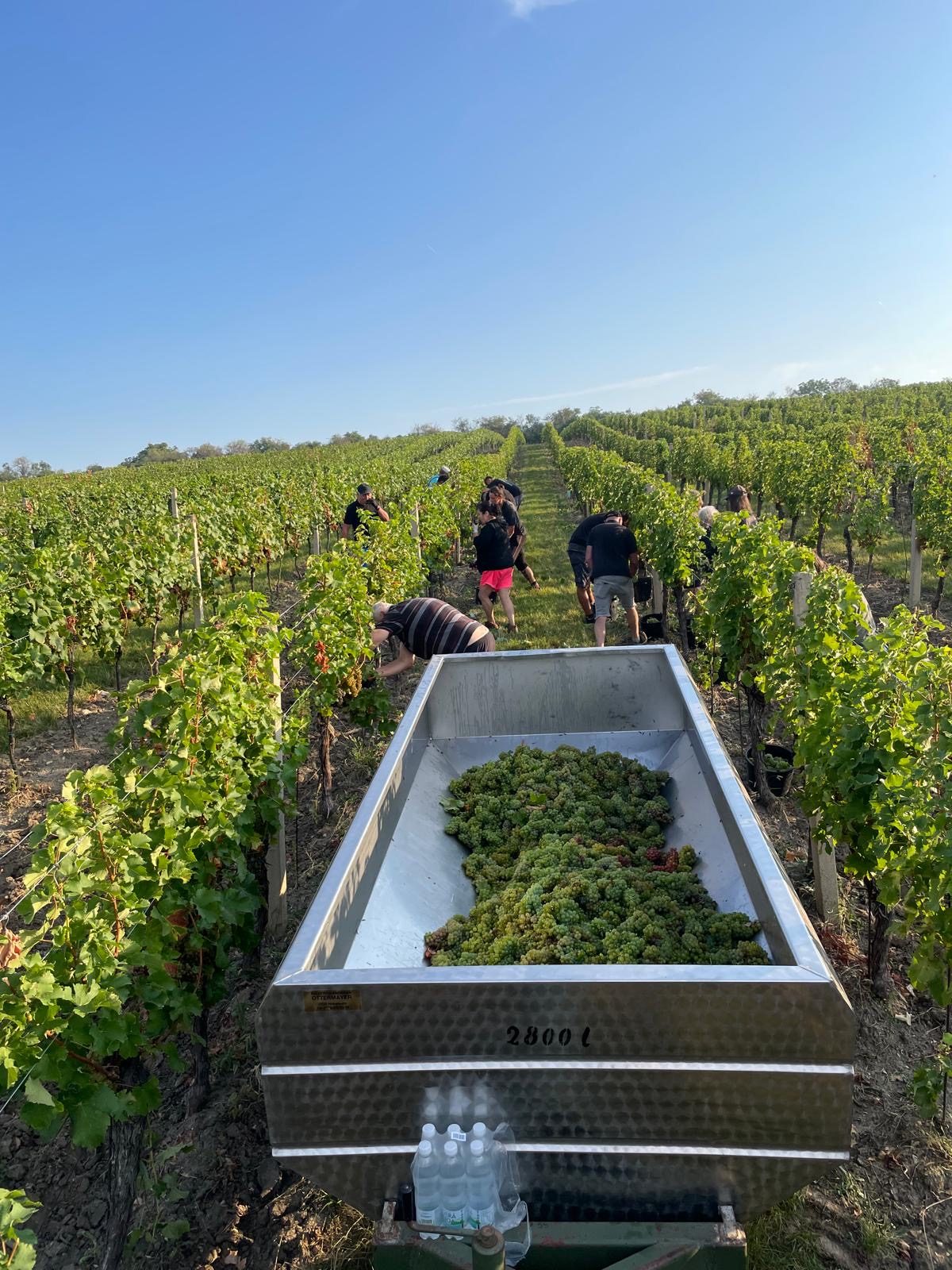 79ec7bc5-086d-4d29-8a75-0dabe94a61fa