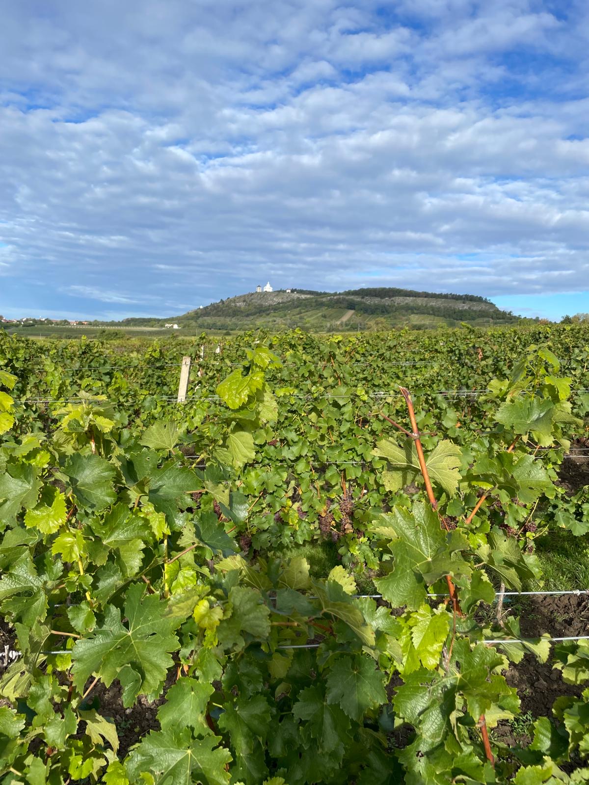 be8bf837-a1e5-4f99-a01e-07ec3b19ab9d